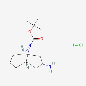 molecular formula C13H25ClN2O2 B14040922 endo-3-Amino-9-Boc-9-azabicyclo[3.3.1]nonane HCl 