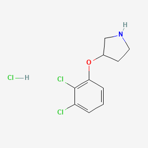 molecular formula C10H12Cl3NO B1404194 3-(2,3-Dichlorophenoxy)pyrrolidine hydrochloride CAS No. 817187-08-9