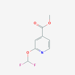 molecular formula C8H7F2NO3 B1404234 Methyl 2-(difluoromethoxy)isonicotinate CAS No. 1375098-09-1