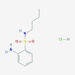 molecular formula C10H17ClN2O2S B1404356 2-氨基-N-丁基苯磺酰胺盐酸盐 CAS No. 21639-11-2