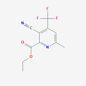molecular formula C11H9F3N2O2 B1404625 Ethyl 3-cyano-6-methyl-4-(trifluoromethyl)pyridine-2-carboxylate CAS No. 1565827-82-8