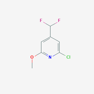 molecular formula C7H6ClF2NO B1404653 2-氯-4-(二氟甲基)-6-甲氧基吡啶 CAS No. 1446786-33-9