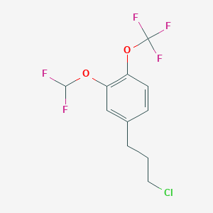 molecular formula C11H10ClF5O2 B14046553 1-(3-Chloropropyl)-3-(difluoromethoxy)-4-(trifluoromethoxy)benzene 