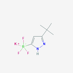 molecular formula C7H11BF3KN2 B1404674 potassium (3-(tert-butyl)-1H-pyrazol-5-yl)trifluoroborate CAS No. 1402242-84-5