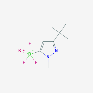 molecular formula C8H13BF3KN2 B1404705 Potassium (3-(tert-butyl)-1-methyl-1H-pyrazol-5-yl)trifluoroborate CAS No. 1402242-79-8