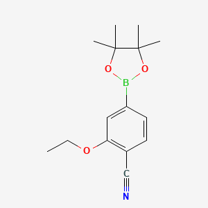 molecular formula C15H20BNO3 B1404707 2-乙氧基-4-(4,4,5,5-四甲基-1,3,2-二氧硼环己烷-2-基)苯甲腈 CAS No. 2098425-93-3