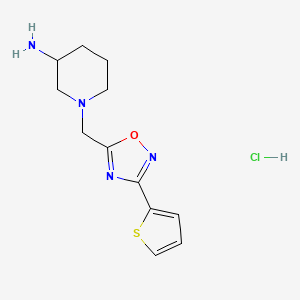 molecular formula C12H17ClN4OS B1404738 1-{[3-(2-Thienyl)-1,2,4-oxadiazol-5-yl]-methyl}piperidin-3-amine hydrochloride CAS No. 1239757-03-9