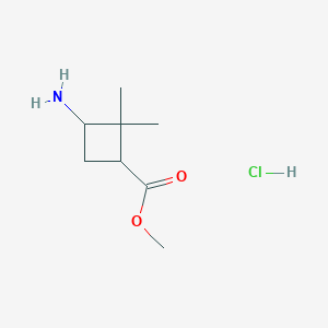 molecular formula C8H16ClNO2 B1404869 Methyl 3-amino-2,2-dimethylcyclobutanecarboxylate hydrochloride CAS No. 1392804-34-0