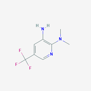 molecular formula C8H10F3N3 B1405053 5-(Trifluoromethyl)-N2,N2-dimethylpyridine-2,3-diamine CAS No. 874880-82-7