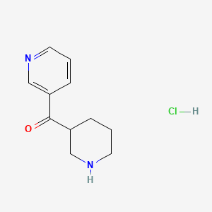 molecular formula C11H15ClN2O B1405196 3-[(Piperidin-3-yl)carbonyl]pyridine hydrochloride CAS No. 1600563-01-6