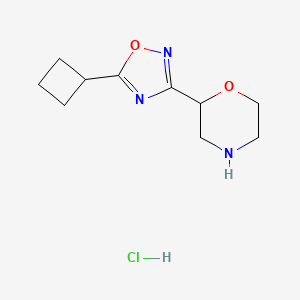 2-(5-Cyclobutyl-1,2,4-oxadiazol-3-yl)morpholine hydrochloride