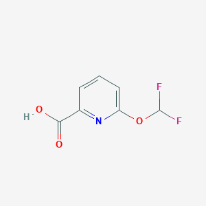 6-(Difluoromethoxy)picolinic acid