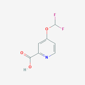 4-(Difluoromethoxy)picolinic acid