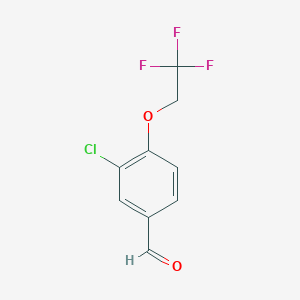 molecular formula C9H6ClF3O2 B14055422 3-Chloro-4-(2,2,2-trifluoro-ethoxy)-benzaldehyde 