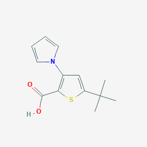 5-tert-Butyl-3-(1H-pyrrol-1-yl)thiophene-2-carboxylic acid