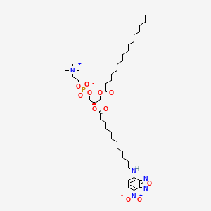 molecular formula C42H74N5O11P B14056556 1-Hexadecanoyl-2-{12-[(7-nitro-2,1,3-benzoxadiazol-4-yl)amino]dodecanoyl}-sn-glycero-3-phosphocholine 
