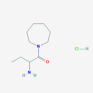 molecular formula C10H21ClN2O B1405735 [1-(氮杂环戊烷-1-基羰基)丙基]胺盐酸盐 CAS No. 2197422-40-3