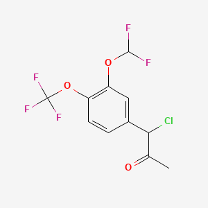 molecular formula C11H8ClF5O3 B14058742 1-Chloro-1-(3-(difluoromethoxy)-4-(trifluoromethoxy)phenyl)propan-2-one 