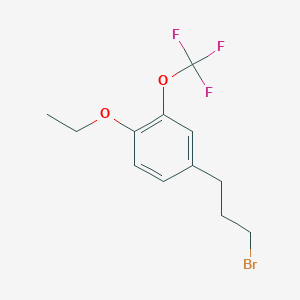 molecular formula C12H14BrF3O2 B14059053 1-(3-Bromopropyl)-4-ethoxy-3-(trifluoromethoxy)benzene 