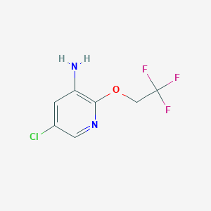 molecular formula C7H6ClF3N2O B1405991 5-Chloro-2-(2,2,2-trifluoroethoxy)-pyridin-3-ylamine CAS No. 1509124-74-6