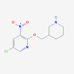 molecular formula C11H14ClN3O3 B1406045 5-Chloro-3-nitro-2-[(piperidin-3-yl)methoxy]pyridine CAS No. 1500423-05-1