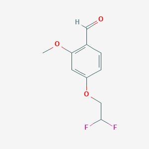 molecular formula C10H10F2O3 B14063705 4-(2,2-Difluoroethoxy)-2-methoxybenzaldehyde 