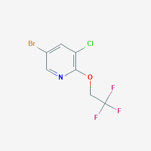 molecular formula C7H4BrClF3NO B1406434 5-Bromo-3-chloro-2-(2,2,2-trifluoroethoxy)pyridine CAS No. 1256822-84-0