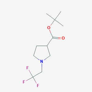 Tert-butyl 1-(2,2,2-trifluoroethyl)pyrrolidine-3-carboxylate
