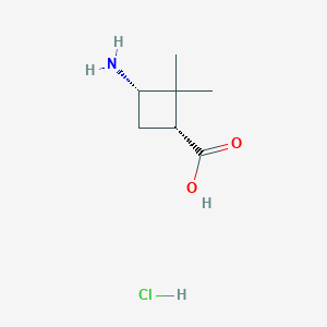cis-3-Amino-2,2-dimethylcyclobutanecarboxylic acid hydrochloride