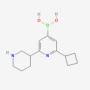 molecular formula C14H21BN2O2 B14068879 (2-Cyclobutyl-6-(piperidin-3-yl)pyridin-4-yl)boronic acid 