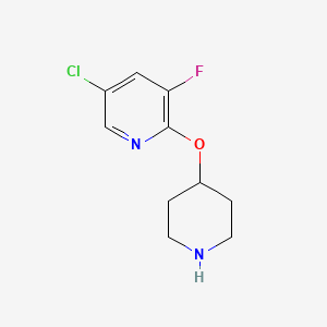 molecular formula C10H12ClFN2O B1406936 5-Chloro-3-fluoro-2-(piperidin-4-yloxy)pyridine CAS No. 1502026-93-8