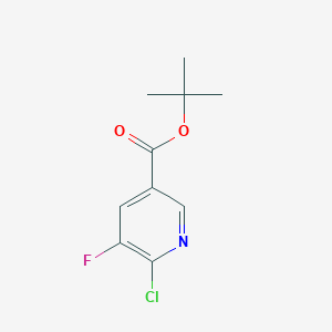 molecular formula C10H11ClFNO2 B14070131 tert-Butyl 6-chloro-5-fluoronicotinate 