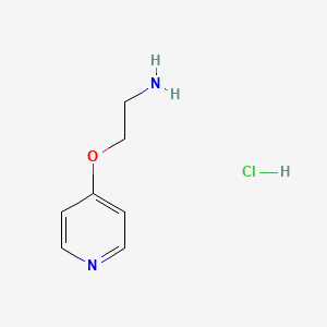 molecular formula C7H11ClN2O B1407020 2-(Pyridin-4-yloxy)ethanamine hydrochloride CAS No. 1992956-33-8