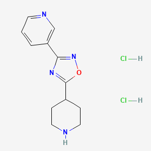 molecular formula C12H16Cl2N4O B1407024 3-(5-哌啶-4-基-1,2,4-恶二唑-3-基)吡啶二盐酸盐 CAS No. 1638612-90-4
