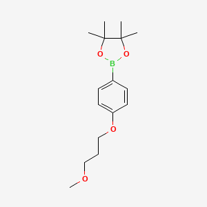 molecular formula C16H25BO4 B1407043 2-[4-(3-Methoxypropoxy)phenyl]-4,4,5,5-tetramethyl-1,3,2-dioxaborolane CAS No. 1580442-17-6