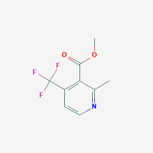 molecular formula C9H8F3NO2 B14070922 Methyl 2-methyl-4-trifluoromethylnicotinate 