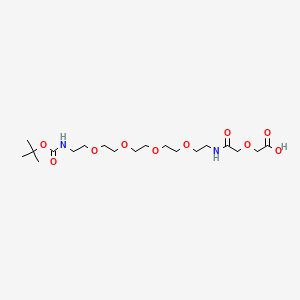 molecular formula C19H36N2O10 B14071727 BocNH-PEG4-CH2CH2NHCOCH2OCH2COOH 