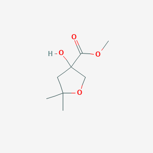 molecular formula C8H14O4 B14073749 Methyl 3-hydroxy-5,5-dimethyltetrahydrofuran-3-carboxylate 