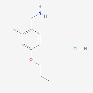 molecular formula C11H18ClNO B1407377 (2-Methyl-4-propoxyphenyl)methanamine hydrochloride CAS No. 1797595-88-0