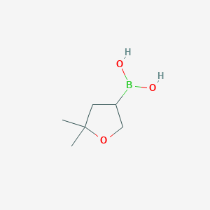 molecular formula C6H13BO3 B14073862 (5,5-Dimethyltetrahydrofuran-3-yl)boronic acid 