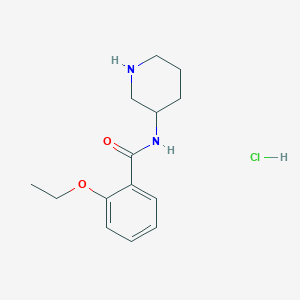 molecular formula C14H21ClN2O2 B1407392 2-ethoxy-N-piperidin-3-ylbenzamide hydrochloride CAS No. 1581552-31-9