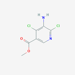 molecular formula C7H6Cl2N2O2 B14073999 Methyl 5-amino-4,6-dichloronicotinate 