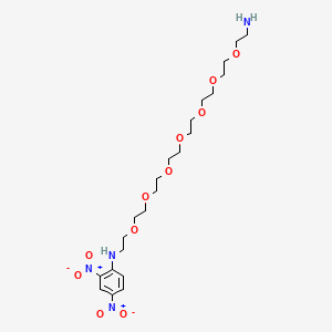 molecular formula C22H38N4O11 B14074144 N1-(2,4-Dinitrophenyl)-3,6,9,12,15,18,21-heptaoxatricosane-1,23-diamine 
