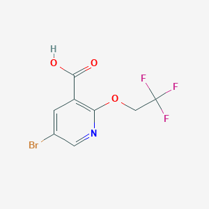 molecular formula C8H5BrF3NO3 B14074369 5-Bromo-2-(2,2,2-trifluoroethoxy)pyridine-3-carboxylic acid 