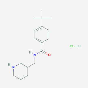 molecular formula C17H27ClN2O B1407480 4-tert-butyl-N-[(piperidin-3-yl)methyl]benzamide hydrochloride CAS No. 1582575-26-5