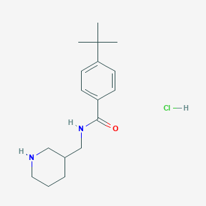 4-tert-butyl-N-(piperidin-3-ylmethyl)benzamide hydrochloride