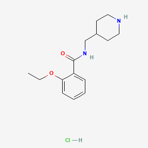 2-ethoxy-N-(piperidin-4-ylmethyl)benzamide hydrochloride