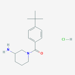 1-(4-Tert-butylbenzoyl)piperidin-3-amine hydrochloride