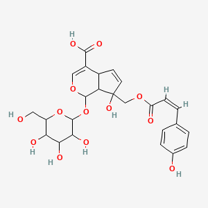 molecular formula C25H28O13 B14075122 Andromedoside 