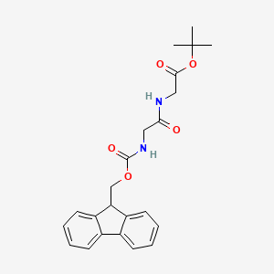 molecular formula C23H26N2O5 B14075615 N-[(9H-Fluoren-9-ylmethoxy)carbonyl]glycylglycine 1,1-dimethylethyl ester 